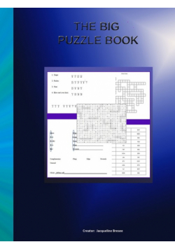 The Big Puzzle Book