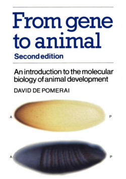 From Gene to Animal
