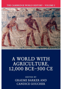 The Cambridge World History