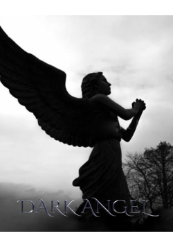 Dark Angel Journal