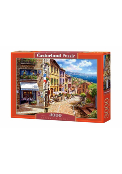 Puzzle 3000 Afternoon in Nice CASTOR