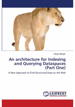 An architecture for Indexing and Querying Dataspaces (Part One)