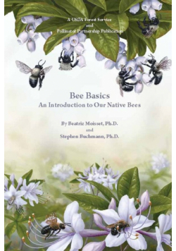 Bee Basics