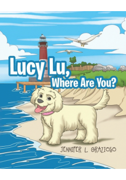 Lucy Lu, Where Are You?
