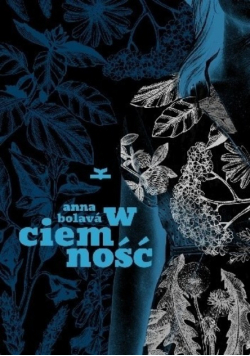 W ciemność