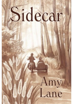 Sidecar