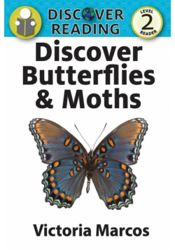 Discover Butterflies & Moths