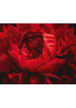 Malowanie po numerach - Wyśmienity kwiat 40x50cm