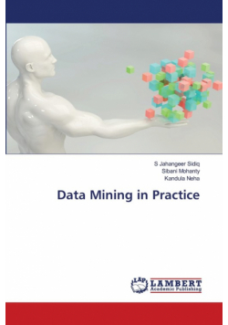 Data Mining in Practice