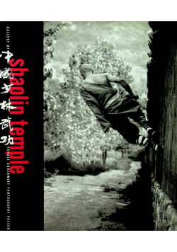 Shaolin temple Gallery of