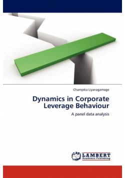 Dynamics in Corporate Leverage Behaviour