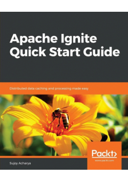 Apache Ignite Quick Start Guide