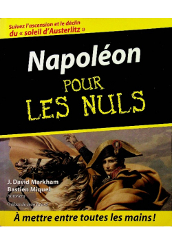Napoleon pour les Nuls