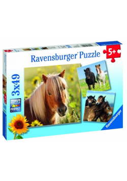 Puzzle 3x49 Konie