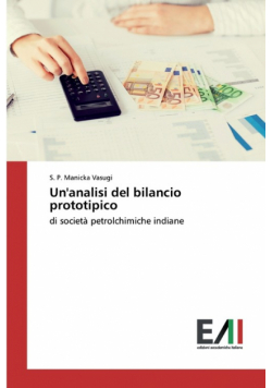 Un'analisi del bilancio prototipico