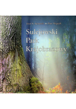 Sulejowski Park Krajobrazowy