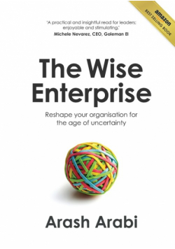 The Wise Enterprise