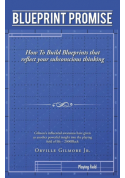 Blueprint Promise