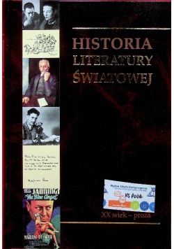 Historia Literatury Światowej XX wiek proza