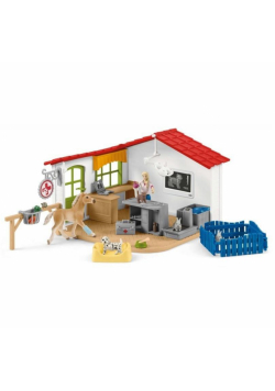 Klinika weterynaryjna ze zwierzętami Farm World