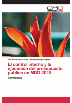 El control interno y la ejecución del presupuesto publico en MDD 2018