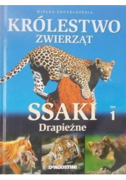 Królestwo zwierząt Ssaki drapieżne