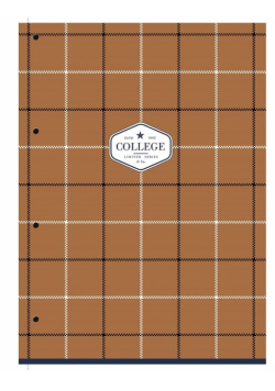 Kołozeszyt A4+/80K linia College series ASTRA