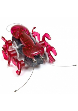 Hexbug Mrówka