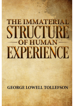 The Immaterial Structure of Human Experience