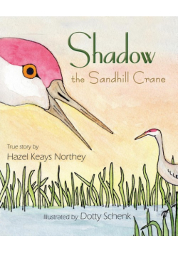 Shadow the Sandhill Crane