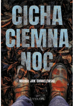 Cicha ciemna noc
