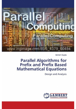 Parallel Algorithms for Prefix and Prefix Based Mathematical Equations