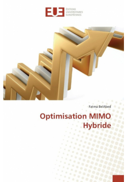 Optimisation mimo hybride
