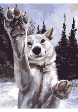 Malowanie po numerach - Zabawa z wilkiem 30x40rama