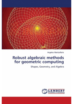 Robust algebraic methods for geometric computing