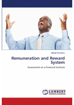 Remuneration and Reward System