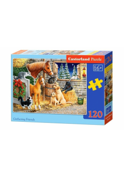 Puzzle 120 Gathering Friends CASTOR