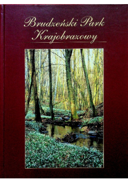 Brudzeński Park Krajobrazowy