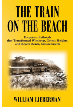 The Train On The Beach