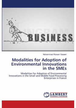 Modalities for Adoption of Environmental Innovations in the SMEs