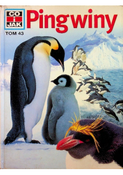 Co i jak tom 43 Pingwiny