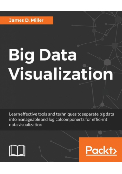 Big Data Visualization