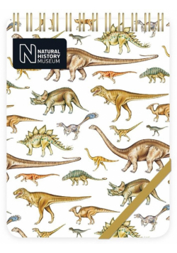 Kołonotes ozdobny Dinosaurs