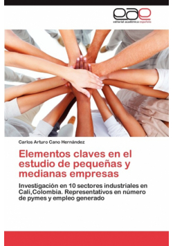 Elementos claves en el estudio de pequeñas y medianas empresas