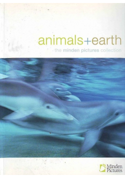 Animals  Earth the Minden pictures collection