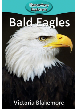 Bald Eagles