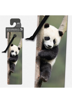 Zakładka 3D 15405 - Panda