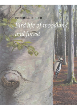 Bird Life of Woodland and Forest