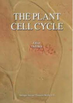 Inze the plant cell cycle