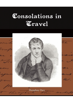 Consolations in Travel